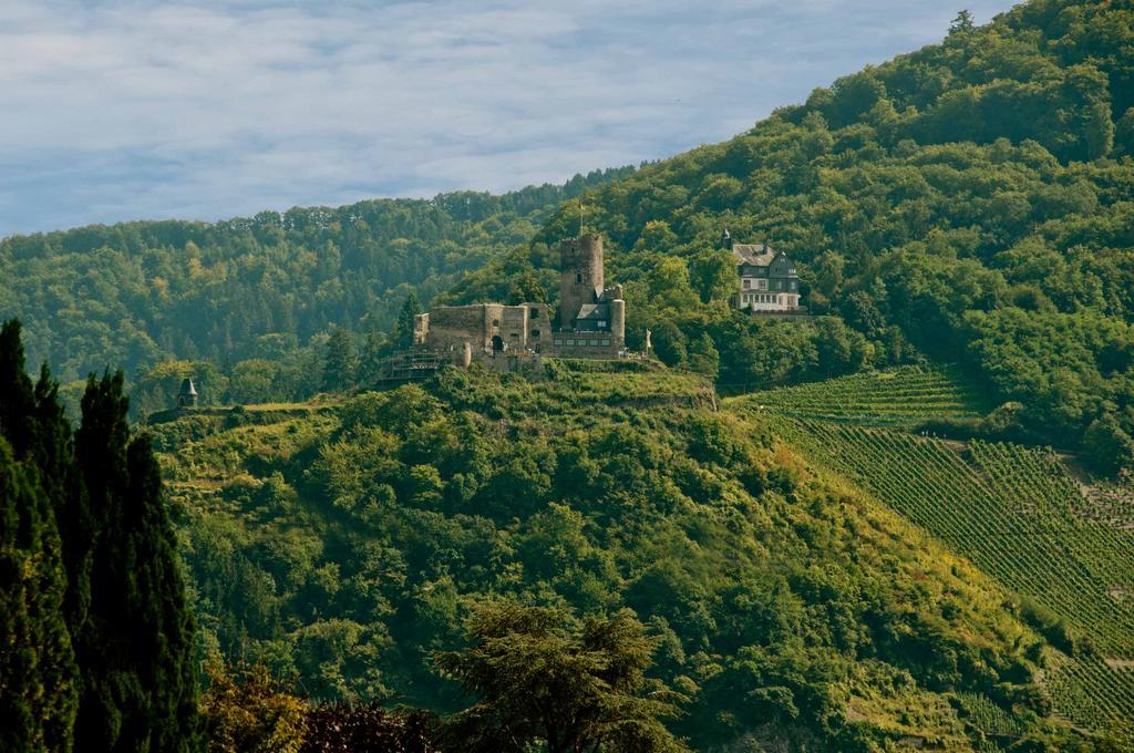 Alter Posthof Ferienwohnungen Commune fusionnée de Commune fusionnée de Bernkastel-Kues Extérieur photo
